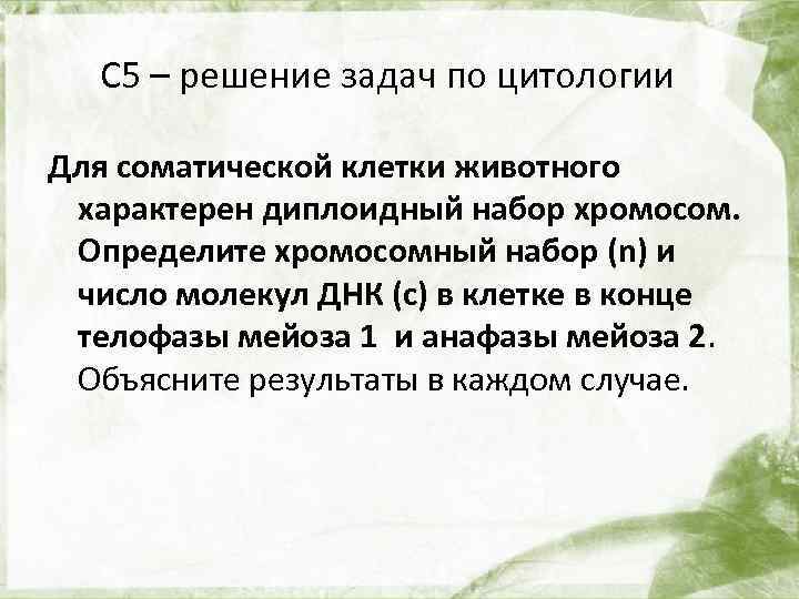 С 5 – решение задач по цитологии Для соматической клетки животного характерен диплоидный набор