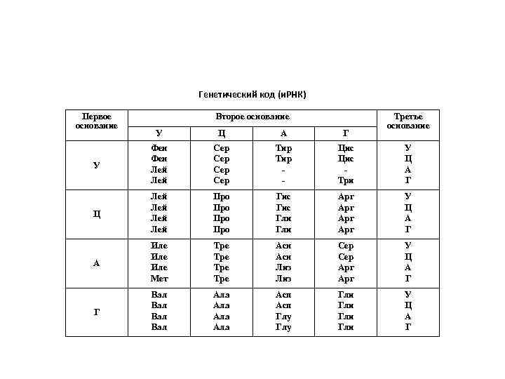 Генетический код (и. РНК) Первое основание Второе основание Третье основание У Ц А Г