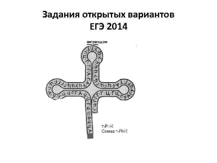 Задания открытых вариантов ЕГЭ 2014 