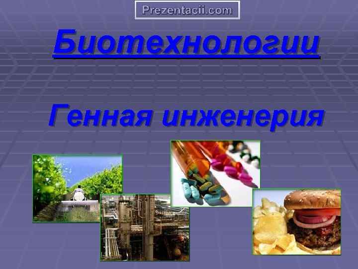Prezentacii. com Биотехнологии Генная инженерия 