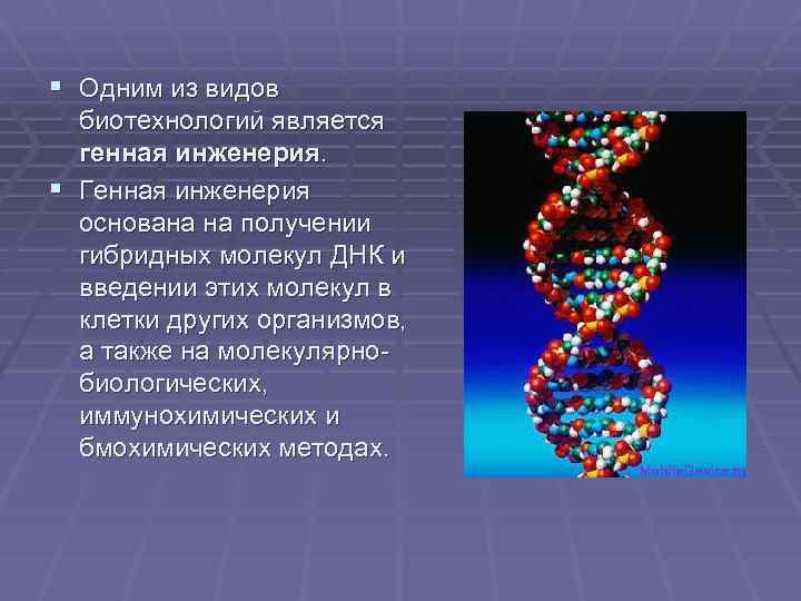 § Одним из видов биотехнологий является генная инженерия. § Генная инженерия основана на получении