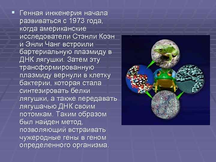 § Генная инженерия начала развиваться с 1973 года, когда американские исследователи Стэнли Коэн и