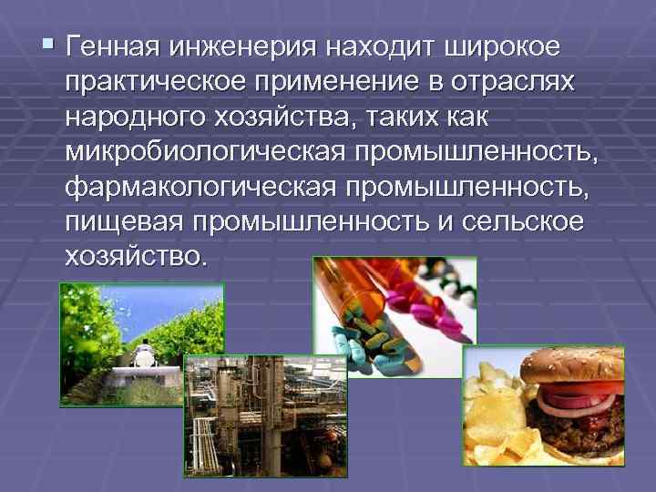 § Генная инженерия находит широкое практическое применение в отраслях народного хозяйства, таких как микробиологическая