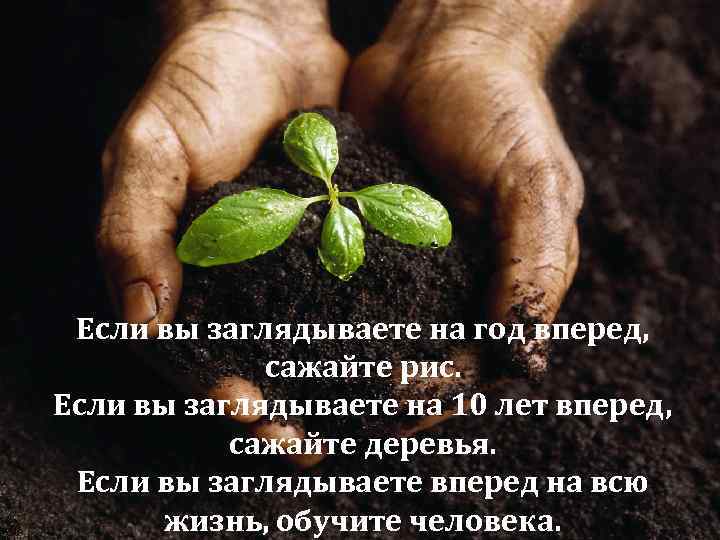 Если вы заглядываете на год вперед, сажайте рис. Если вы заглядываете на 10 лет