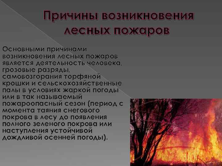 Природные пожары кратко. Причины возникновения лесных пожаров. Причины возникновения пожаров. Лесные и торфяные пожары. Возникновение природных пожаров.