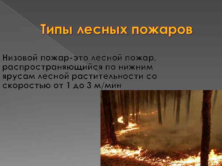 Типы лесных пожаров Низовой пожар-это лесной пожар, распространяющийся по нижним ярусам лесной растительности со