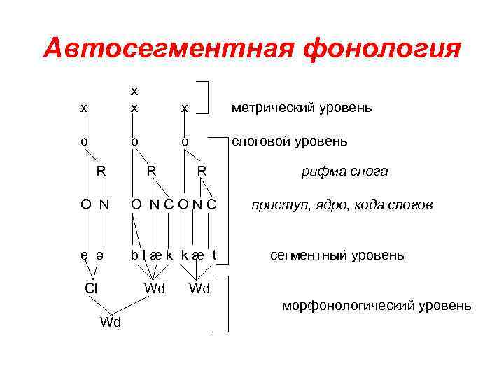 Автосегментная фонология x x метрический уровень σ σ σ слоговой уровень R R R