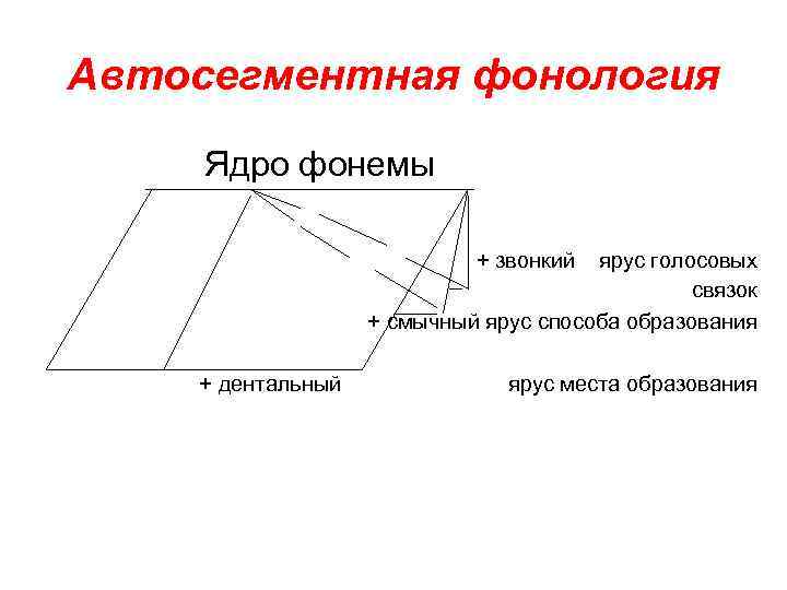 Автосегментная фонология Ядро фонемы + звонкий ярус голосовых связок + смычный ярус способа образования