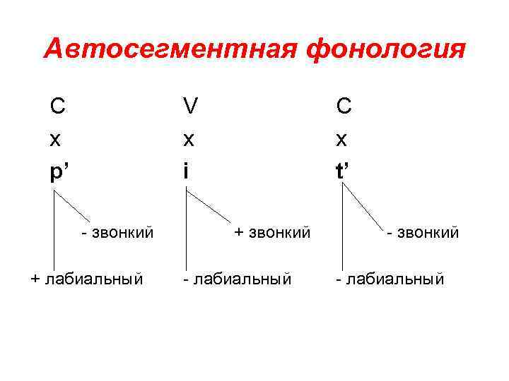 Автосегментная фонология С x p’ V x i - звонкий + лабиальный C x