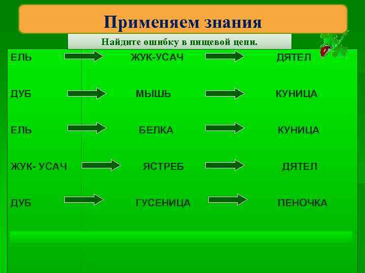 Цепи питания. Пищевая цепочка. Цепь питания лиственного леса.