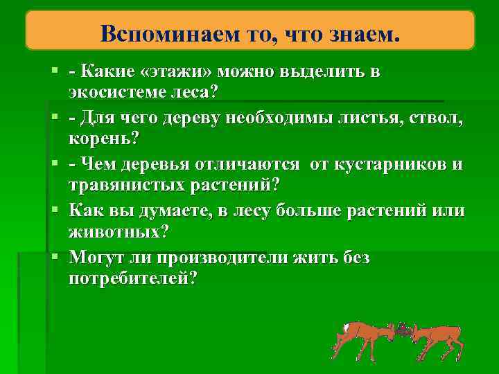 Вспоминаем то, что знаем. § - Какие «этажи» можно выделить в экосистеме леса? §