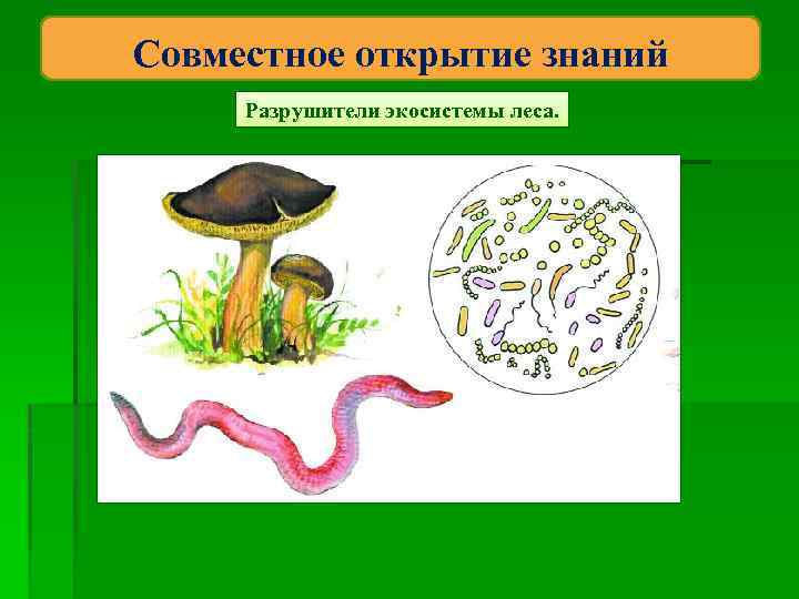 Потребители разрушители