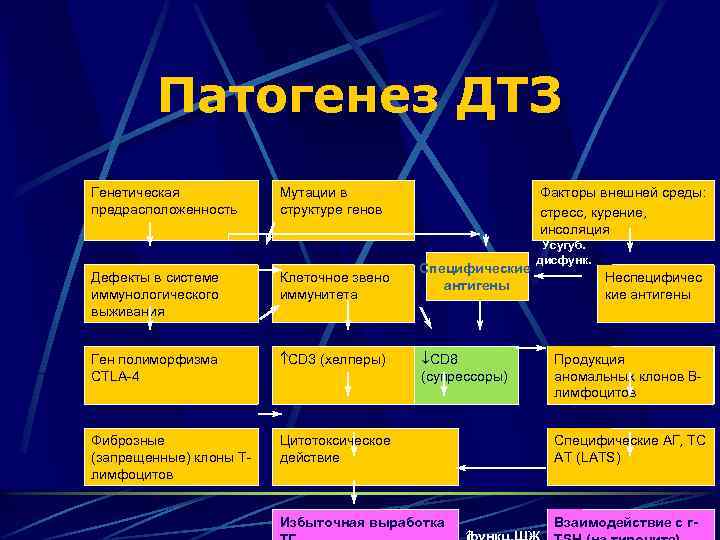 Токсический зоб этиология. Диффузный токсический зоб патогенез. Патогенез диффузного токсического зоба схема. Тиреотоксический зоб патогенез. Диффузный токсический зоб патогенез кратко.