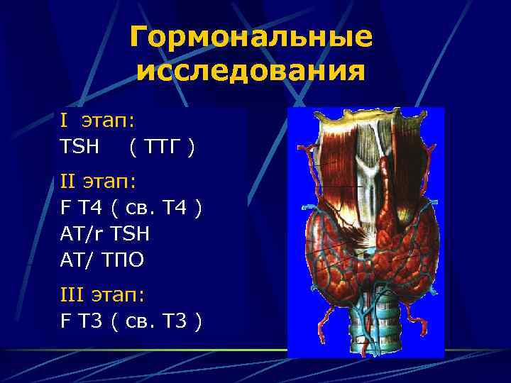 Гормональные исследования I этап: TSH ( ТТГ ) II этап: F T 4 (