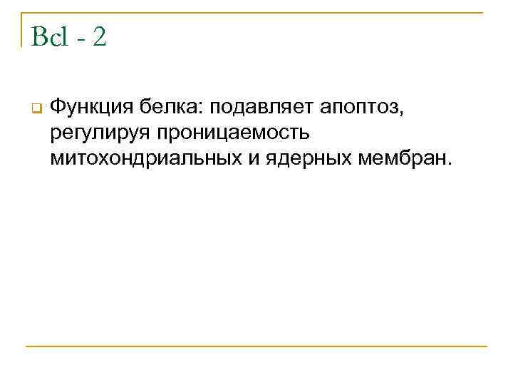 Bcl - 2 q Функция белка: подавляет апоптоз, регулируя проницаемость митохондриальных и ядерных мембран.