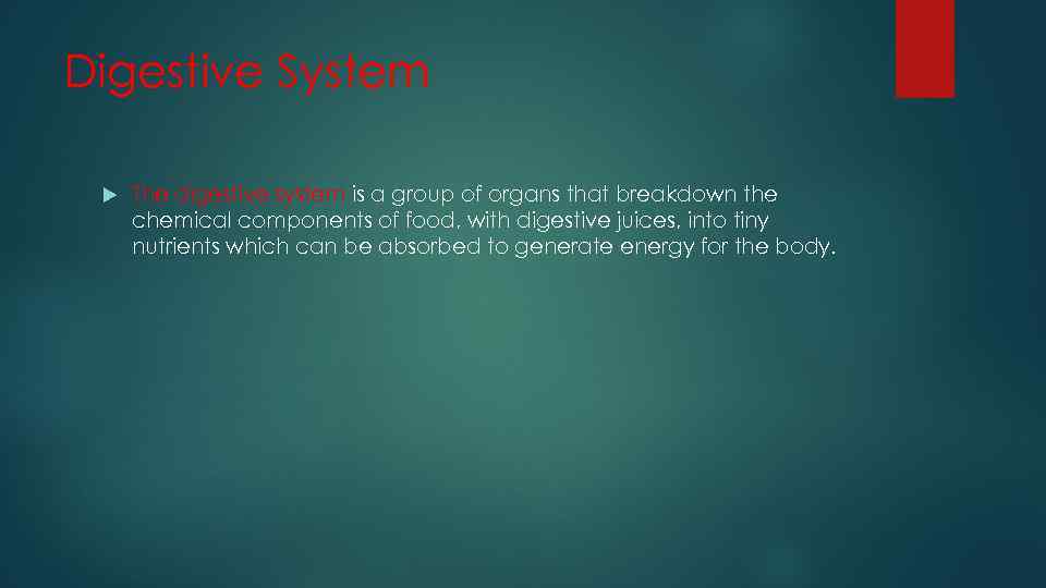 Digestive System The digestive system is a group of organs that breakdown the chemical