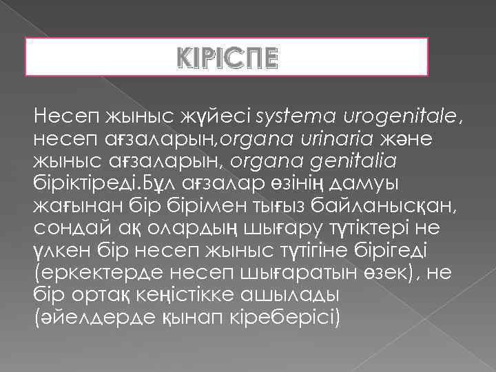 КІРІСПЕ Несеп жыныс жүйесі systema urogenitale, несеп ағзаларын, organa urinaria және жыныс ағзаларын, organa