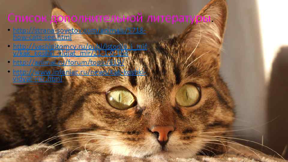 Список дополнительной литературы. • http: //strana-sovetov. com/animals/5718 how-cats-see. html • http: //vashipitomcy. ru/publ/istorija_i_mif y/kak_koshki_vidjat_mir/21