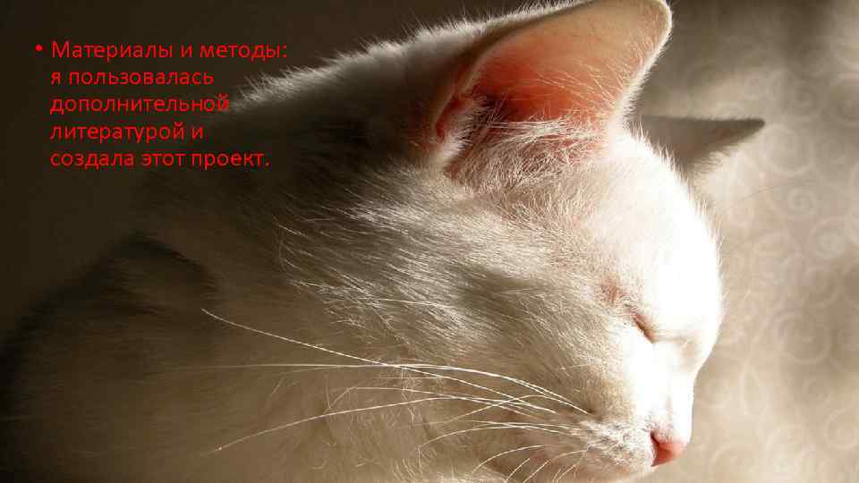  • Материалы и методы: я пользовалась дополнительной литературой и создала этот проект. 