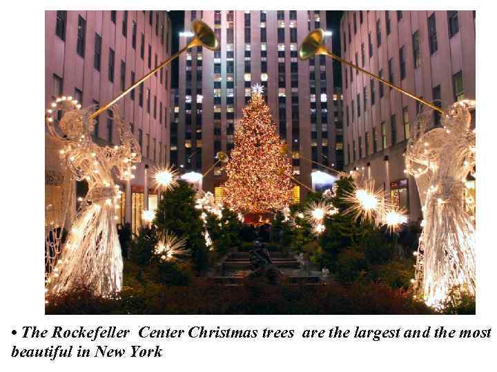  • The Rockefeller Center Christmas trees are the largest and the most beautiful