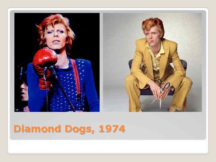 Diamond Dogs, 1974 