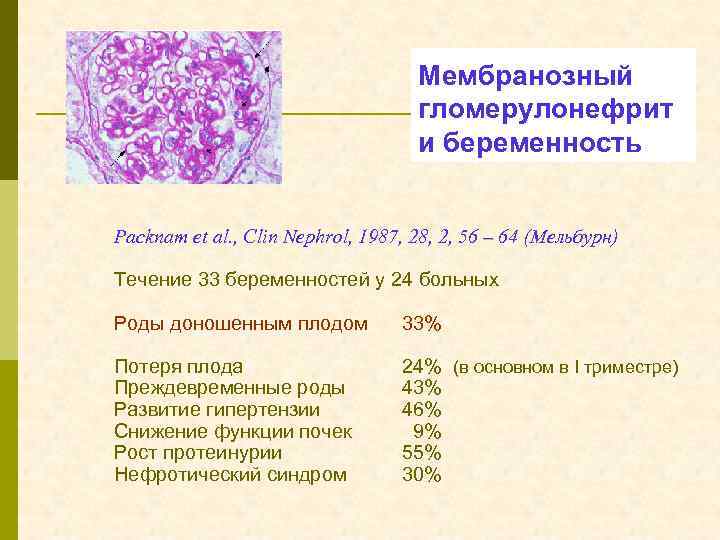 Мембранозный гломерулонефрит и беременность Packnam et al. , Clin Nephrol, 1987, 28, 2, 56