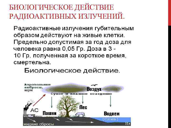 БИОЛОГИЧЕСКОЕ ДЕЙСТВИЕ РАДИОАКТИВНЫХ ИЗЛУЧЕНИЙ. 