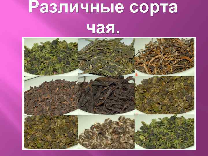 Различные сорта чая. 