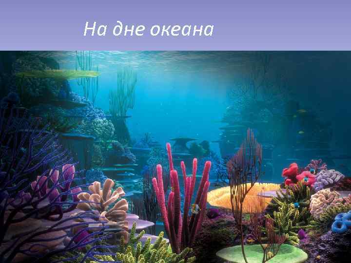 На дне океана 