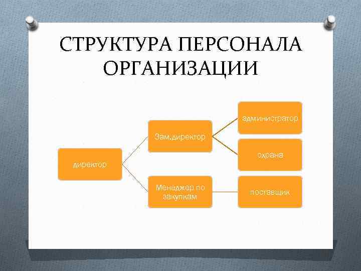 СТРУКТУРА ПЕРСОНАЛА ОРГАНИЗАЦИИ администратор Зам. директор охрана директор Менеджер по закупкам поставщик 
