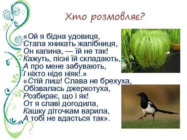 Хто розмовляє? «Ой я бідна удовиця, Стала хникать жалібниця, Он калина, — їй не