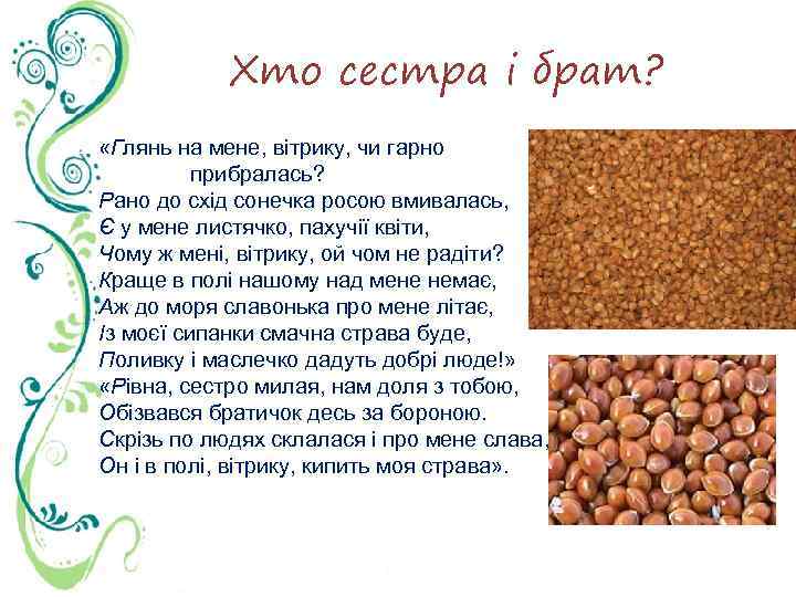 Хто сестра і брат? «Глянь на мене, вітрику, чи гарно прибралась? Рано до схід