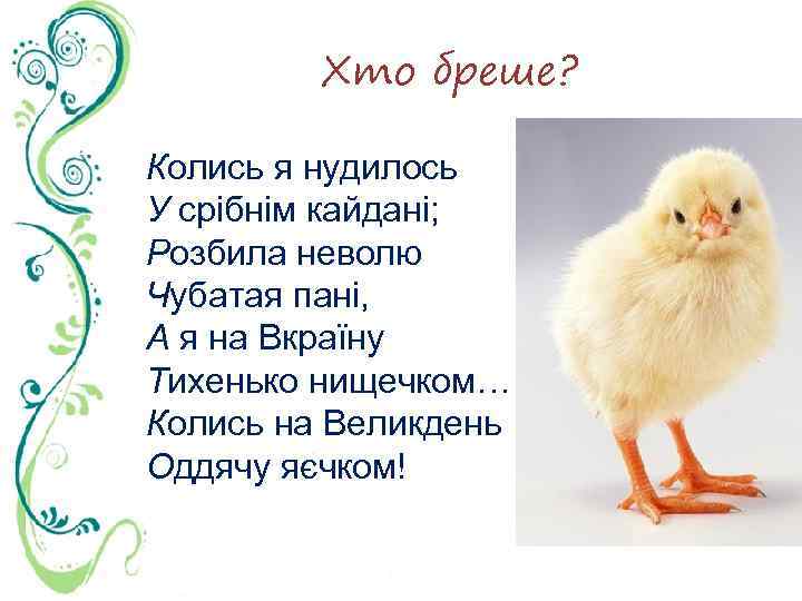 Хто бреше? Колись я нудилось У срібнім кайдані; Розбила неволю Чубатая пані, А я