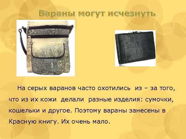 Вараны могут исчезнуть На серых варанов часто охотились из – за того, что из