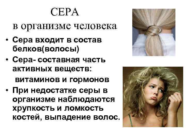 СЕРА в организме человека • Сера входит в состав белков(волосы) • Сера- составная часть