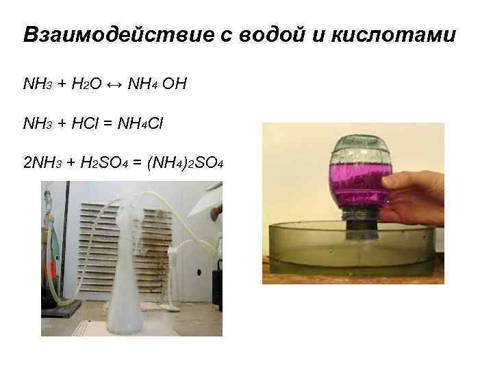 Взаимодействие с водой и кислотами NH 3 + Н 2 О ↔ NН 4