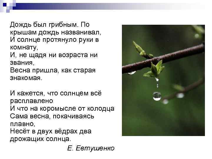 Дождь был грибным. По крышам дождь названивал, И солнце протянуло руки в комнату, И,