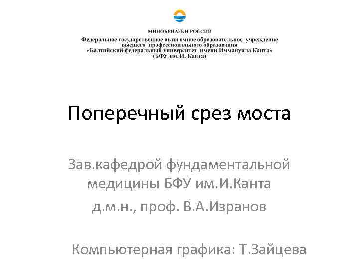 Поперечный срез моста Зав. кафедрой фундаментальной медицины БФУ им. И. Канта д. м. н.