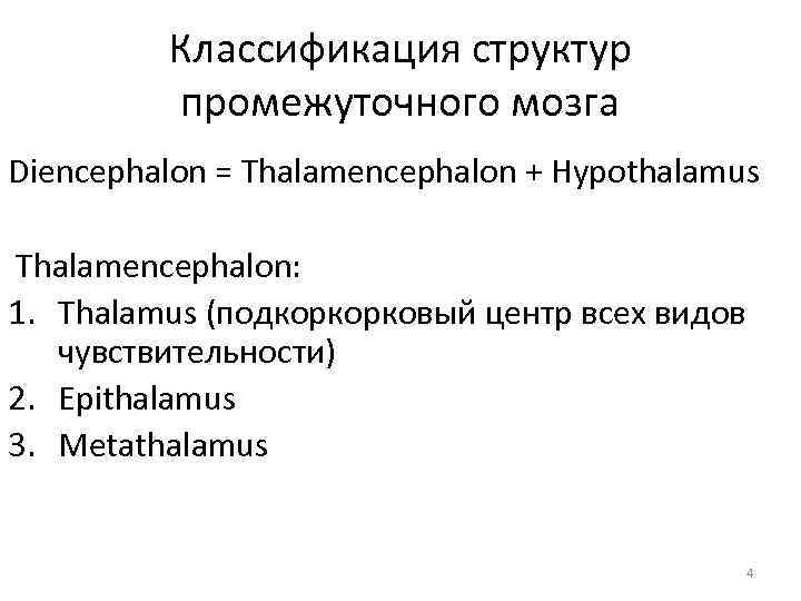 Классификация структур промежуточного мозга Diencephalon = Thalamencephalon + Hypothalamus Thalamencephalon: 1. Thalamus (подкоркорковый центр