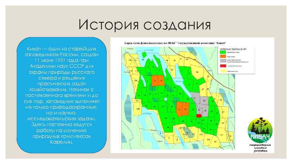 История создания Кивач — один из старейших заповедников России, создан 11 июня 1931 года