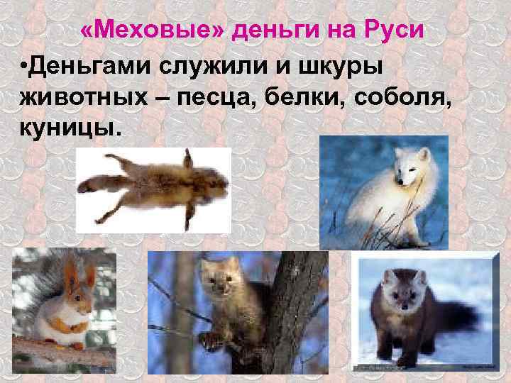 «Меховые» деньги на Руси • Деньгами служили и шкуры животных – песца, белки,