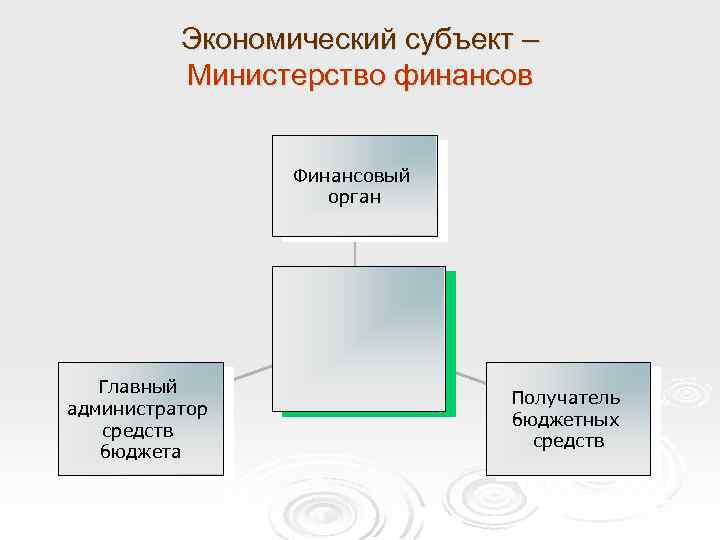 Экономический субъект – Министерство финансов Финансовый орган Главный администратор средств бюджета Получатель бюджетных средств