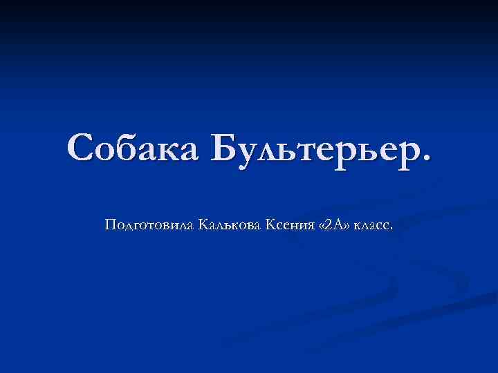 Собака Бультерьер. Подготовила Калькова Ксения « 2 А» класс. 