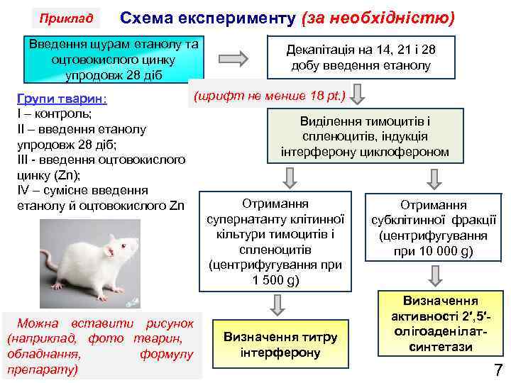 Приклад Схема експерименту (за необхідністю) Введення щурам етанолу та оцтовокислого цинку упродовж 28 діб