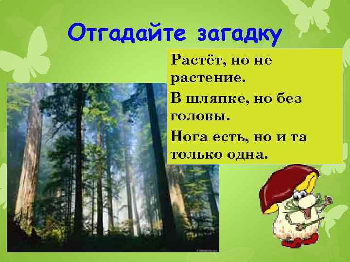 Отгадайте загадку Растёт, но не растение. В шляпке, но без головы. Нога есть, но