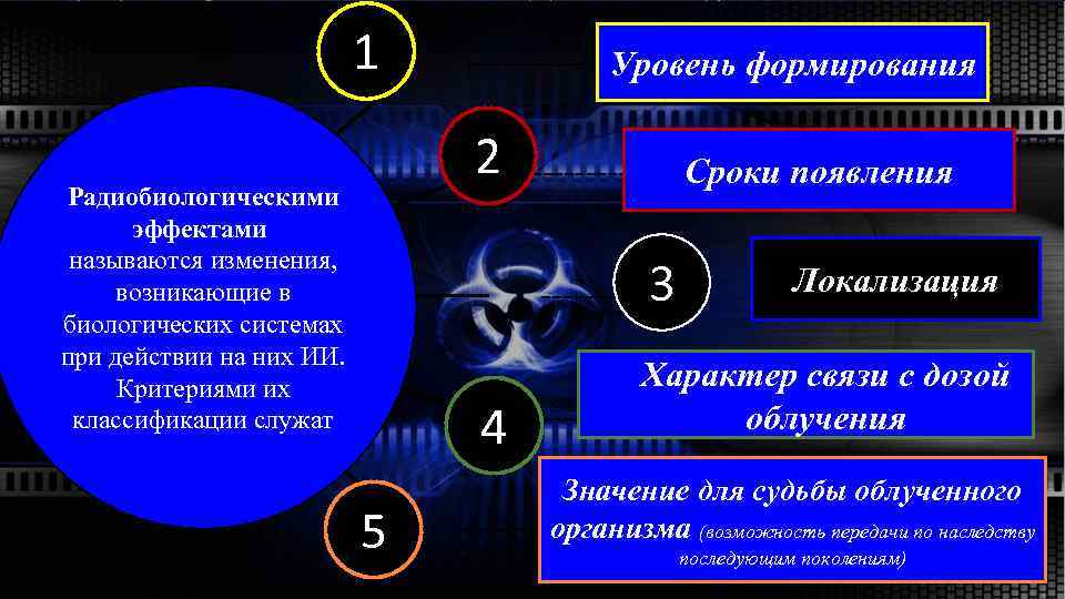 1 Уровень формирования 2 Радиобиологическими эффектами называются изменения, возникающие в биологических системах при действии