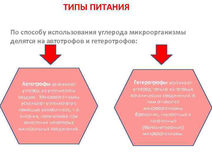 ТИПЫ ПИТАНИЯ По способу использования углерода микроорганизмы делятся на автотрофов и гетеротрофов: Автотрофы усваивают