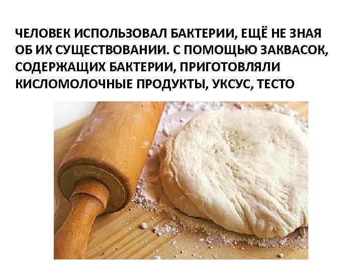 ЧЕЛОВЕК ИСПОЛЬЗОВАЛ БАКТЕРИИ, ЕЩЁ НЕ ЗНАЯ ОБ ИХ СУЩЕСТВОВАНИИ. С ПОМОЩЬЮ ЗАКВАСОК, СОДЕРЖАЩИХ БАКТЕРИИ,