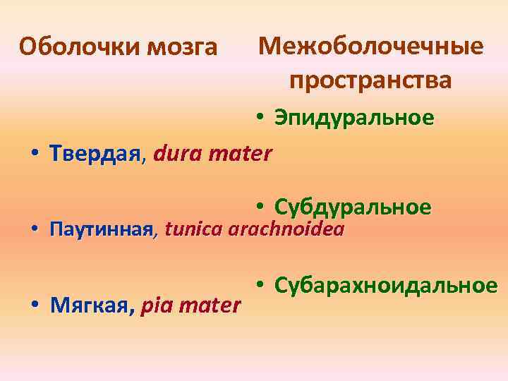 Оболочки мозга Межоболочечные пространства • Эпидуральное • Твердая, dura mater • Субдуральное • Паутинная,