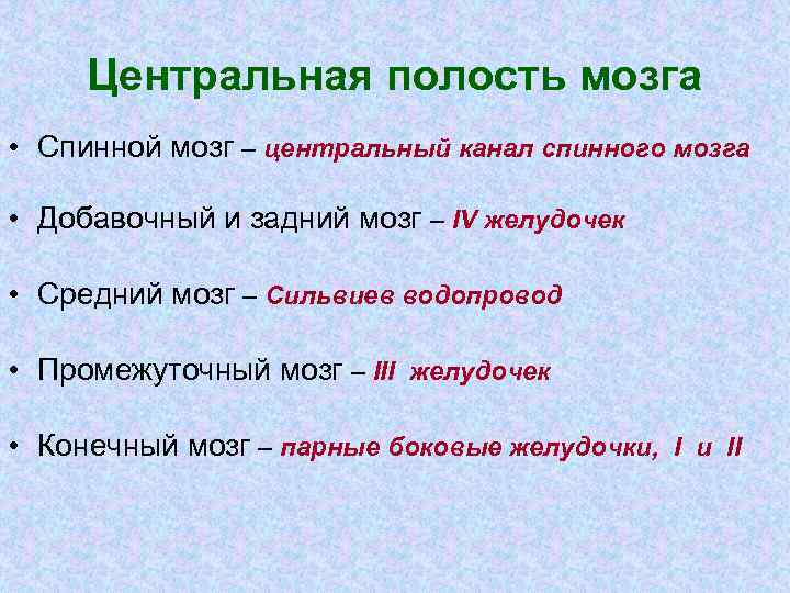 Центральная полость мозга • Спинной мозг – центральный канал спинного мозга • Добавочный и